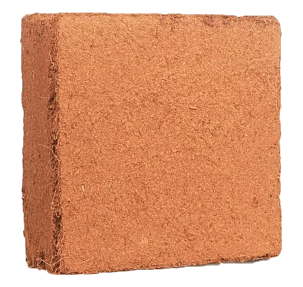fibra de coco