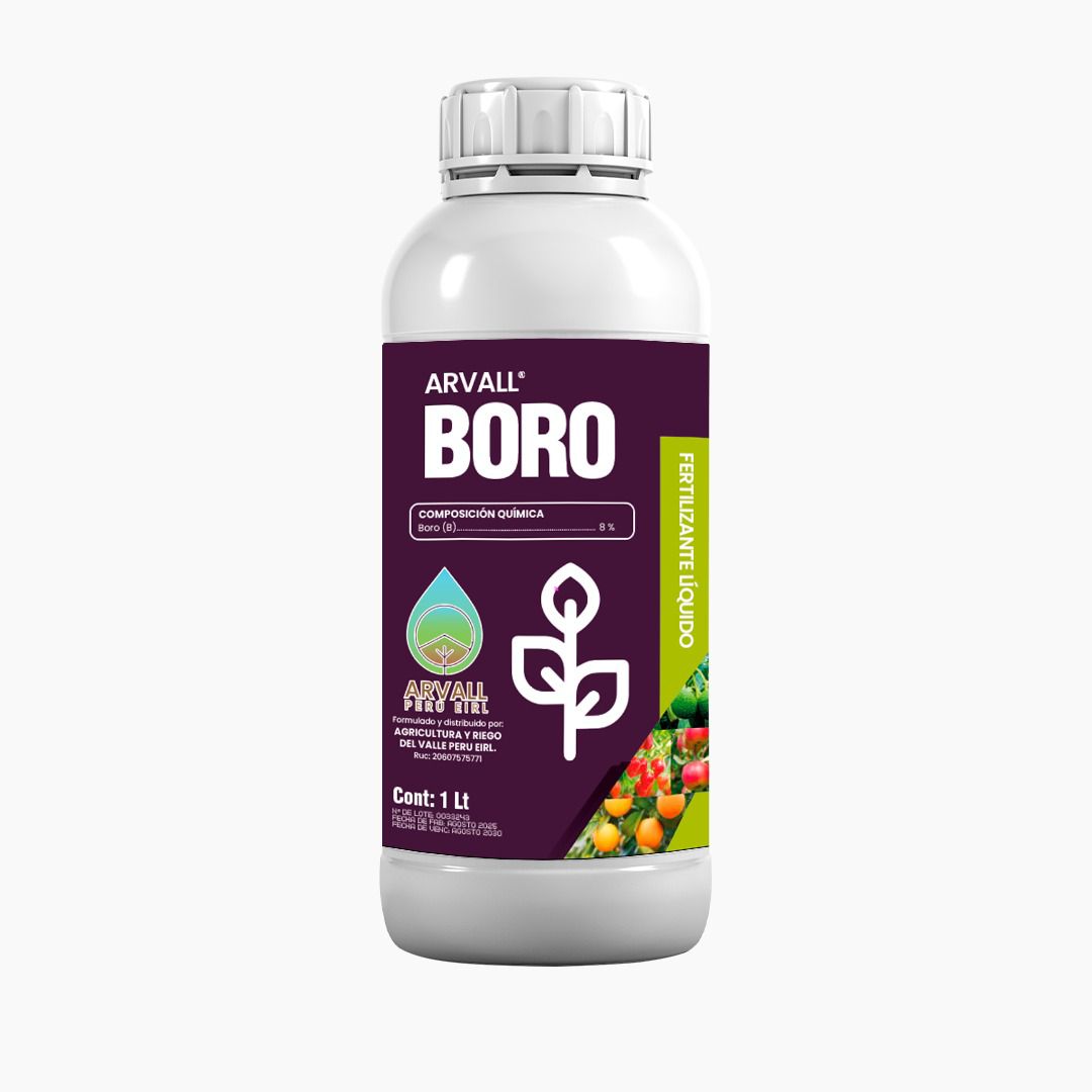 Boro