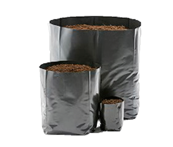 Bolsas para vivero