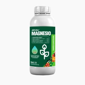 Magnesio