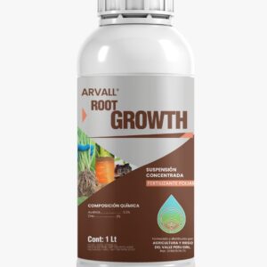 Root Growth