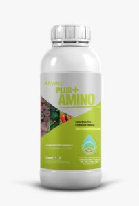 Plus Amino