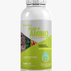 Plus Amino